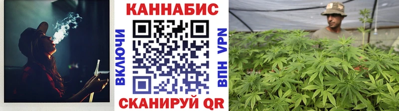 Купить где  Кемь  Каннабис планчик 